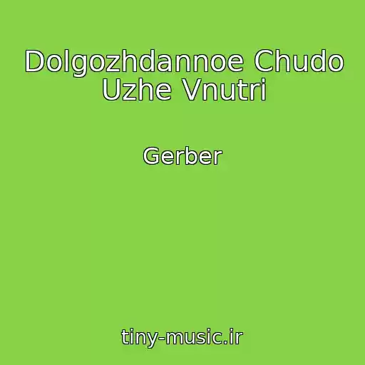 کاور آهنگ Dolgozhdannoe Chudo Uzhe Vnutri از Gerber