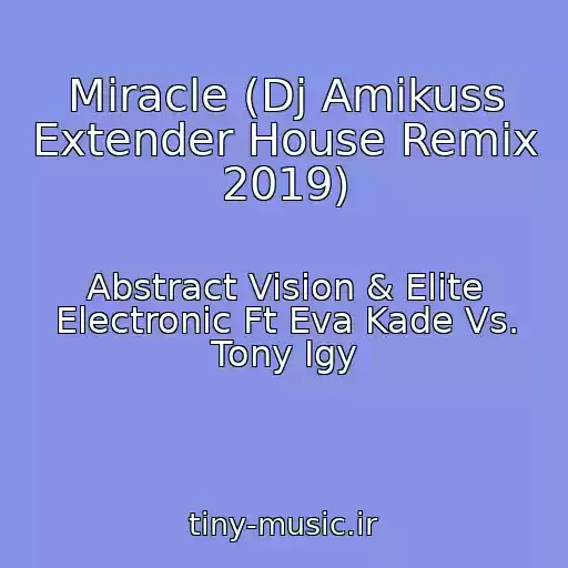کاور آهنگ Miracle (Dj Amikuss Extender House Remix 2019) از Abstract Vision & Elite Electronic Ft Eva Kade Vs. Tony Igy