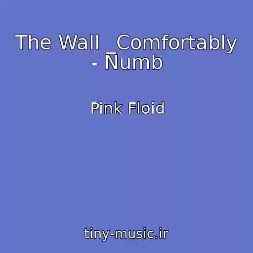 کاور آهنگ The Wall _Comfortably - Numb از Pink Floid