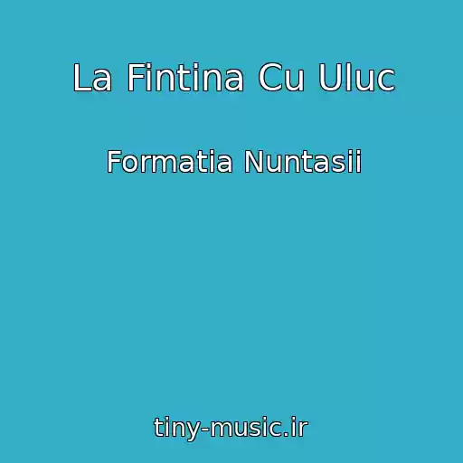 کاور آهنگ La Fintina Cu Uluc از Formatia Nuntasii