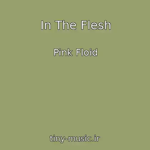 کاور آهنگ In The Flesh از Pink Floid
