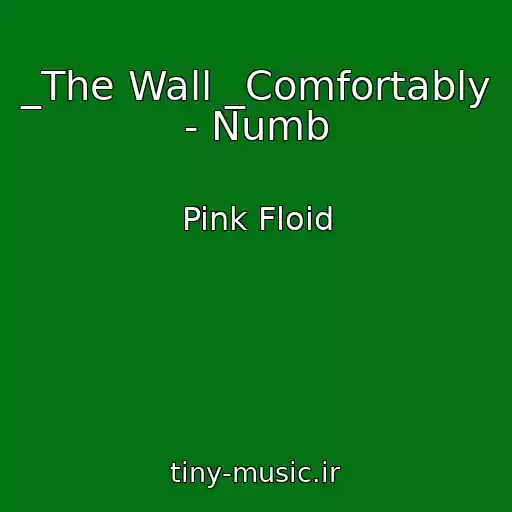 کاور آهنگ _The Wall _Comfortably - Numb از Pink Floid