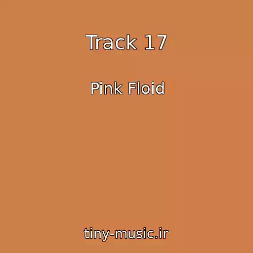 کاور آهنگ Track 17 از Pink Floid