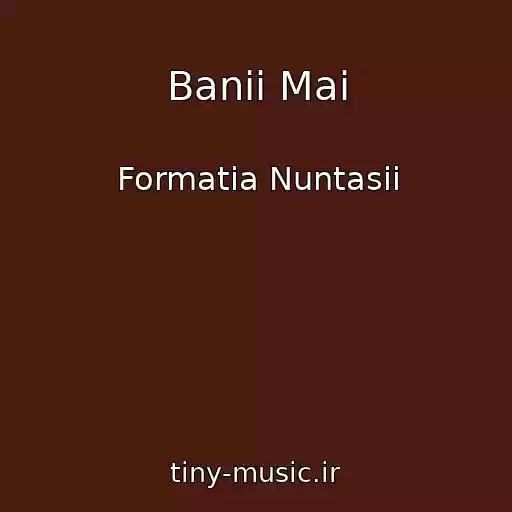 کاور آهنگ Banii Mai از Formatia Nuntasii