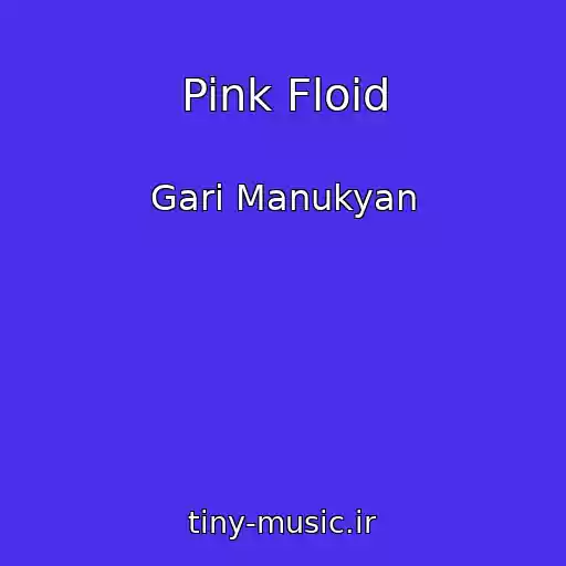کاور آهنگ Pink Floid از Gari Manukyan