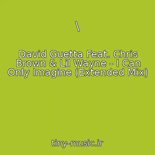 کاور آهنگ \ از David Guetta Feat. Chris Brown & Lil Wayne - I Can Only Imagine (Extended Mix)
