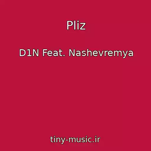 کاور آهنگ Pliz از D1N Feat. Nashevremya