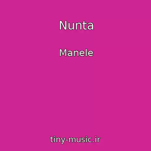 کاور آهنگ Nunta از Manele