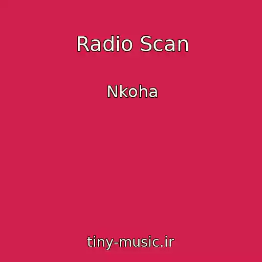 کاور آهنگ Radio Scan از Nkoha
