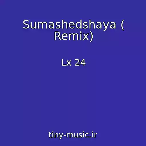 کاور آهنگ Sumashedshaya ( Remix) از Lx 24