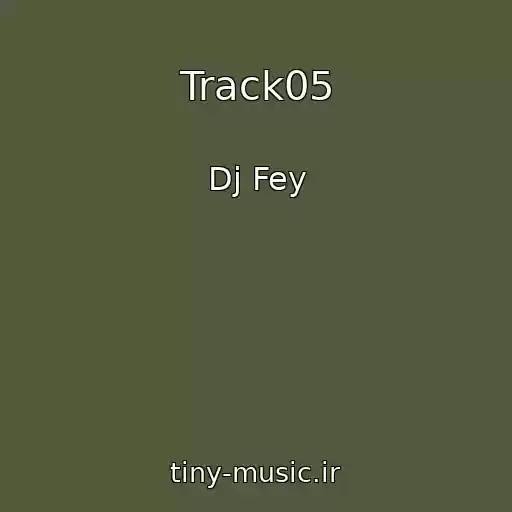 کاور آهنگ Track05 از Dj Fey