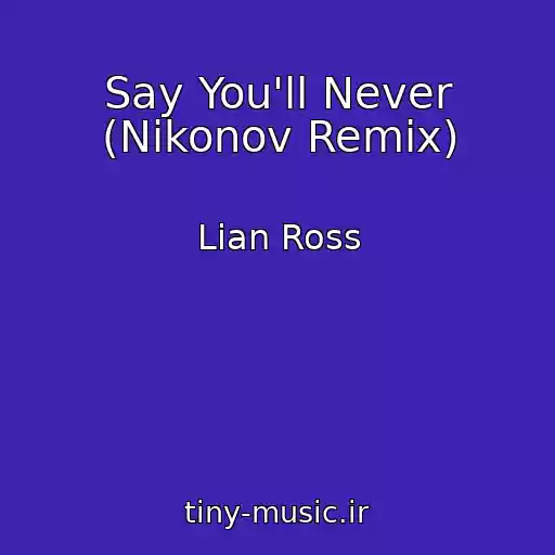 کاور آهنگ Say You'll Never (Nikonov Remix) از Lian Ross