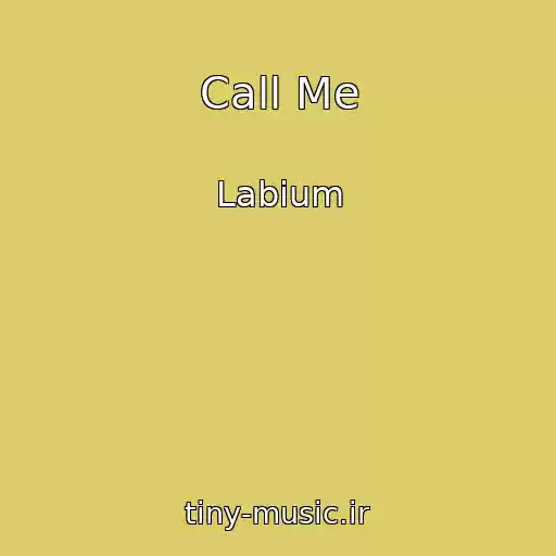 کاور آهنگ Call Me از Labium