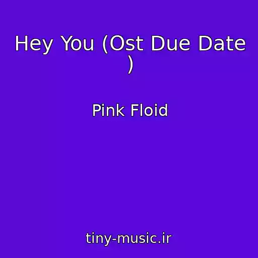 کاور آهنگ Hey You (Ost Due Date ) از Pink Floid