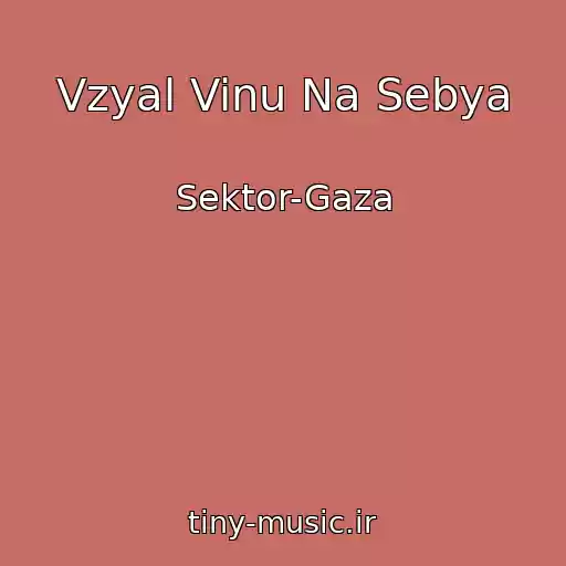 کاور آهنگ Vzyal Vinu Na Sebya از Sektor-Gaza