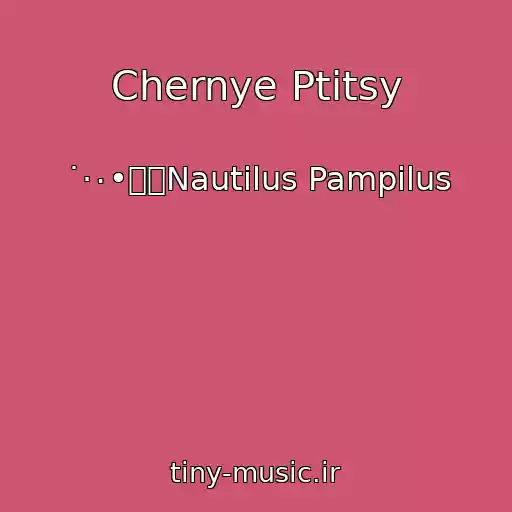 کاور آهنگ Chernye Ptitsy از ˙·٠•๑۩Nautilus Pampilus