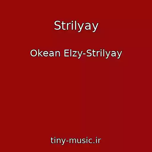 کاور آهنگ Strilyay از Okean Elzy-Strilyay