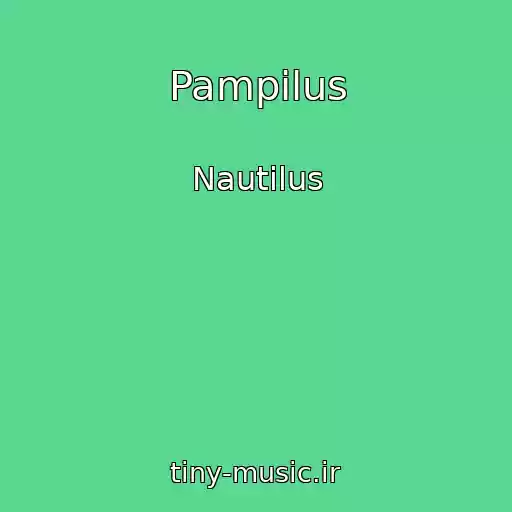 کاور آهنگ Pampilus از Nautilus