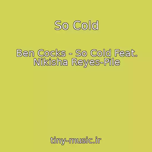 کاور آهنگ So Cold از Ben Cocks - So Cold Feat. Nikisha Reyes-Pile