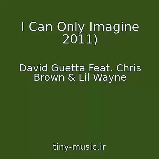 کاور آهنگ I Can Only Imagine 2011) از David Guetta Feat. Chris Brown & Lil Wayne