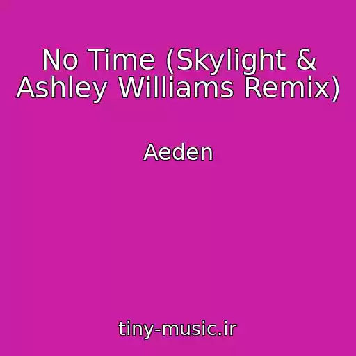 کاور آهنگ No Time (Skylight & Ashley Williams Remix) از Aeden