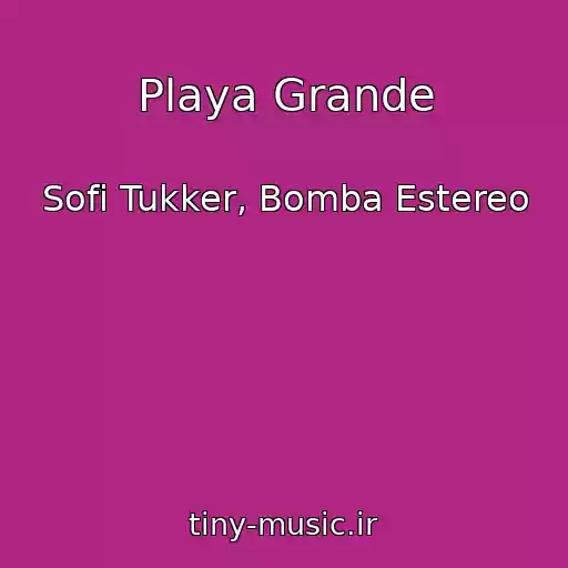 کاور آهنگ Playa Grande از Sofi Tukker, Bomba Estereo