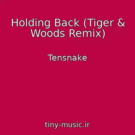 کاور آهنگ Holding Back (Tiger & Woods Remix) از Tensnake