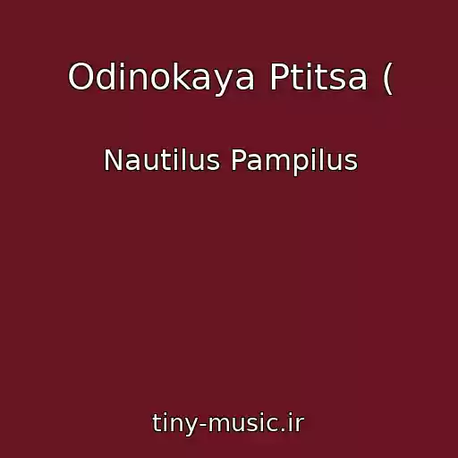 کاور آهنگ Odinokaya Ptitsa ( از Nautilus Pampilus