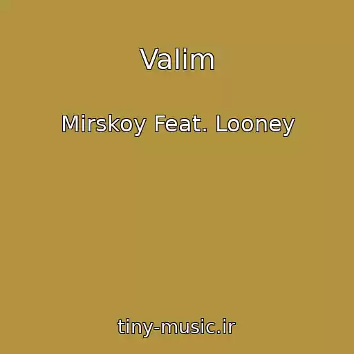 کاور آهنگ Valim از Mirskoy Feat. Looney