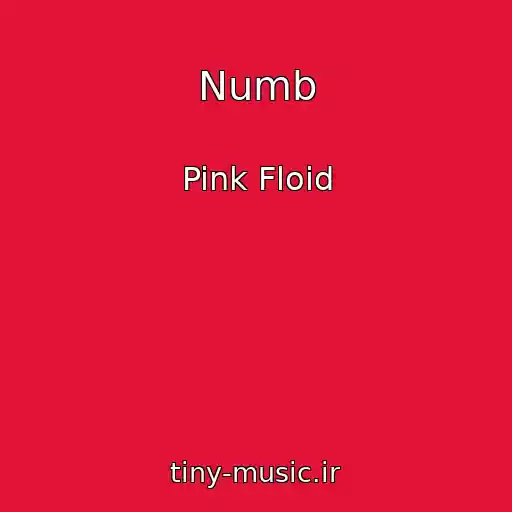 کاور آهنگ Numb از Pink Floid