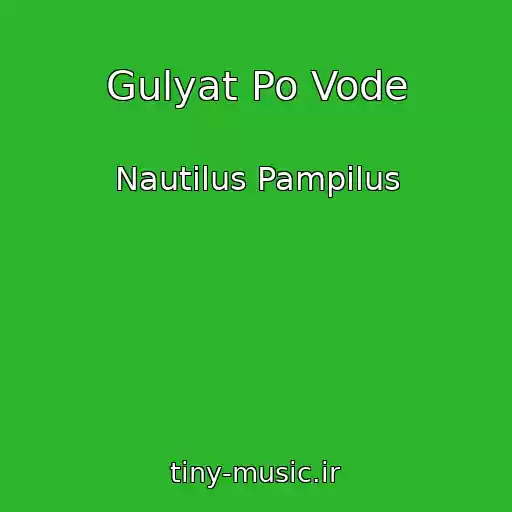 کاور آهنگ Gulyat Po Vode از Nautilus Pampilus
