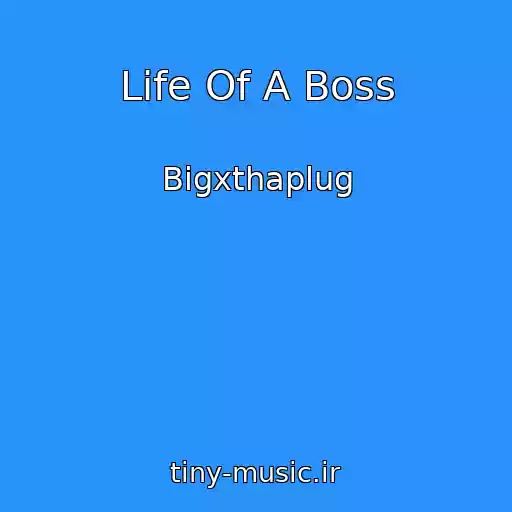 کاور آهنگ Life Of A Boss از Bigxthaplug