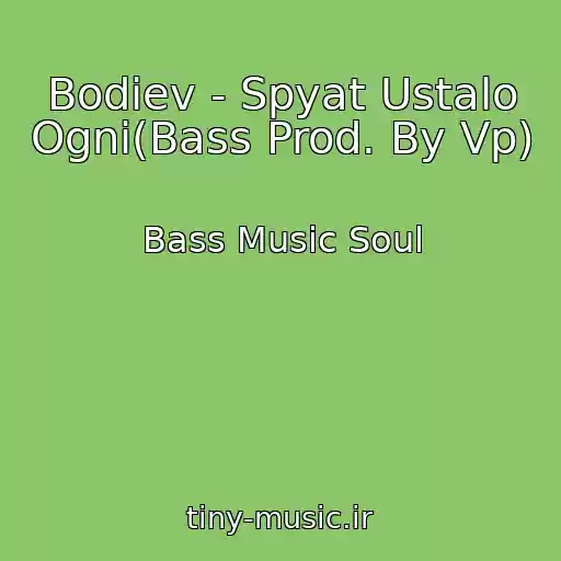 کاور آهنگ Bodiev - Spyat Ustalo Ogni(Bass Prod. By Vp) از Bass Music Soul