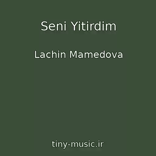 کاور آهنگ Seni Yitirdim از Lachin Mamedova