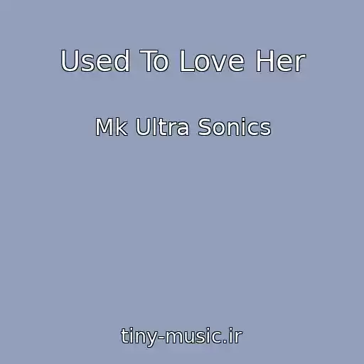 کاور آهنگ Used To Love Her از Mk Ultra Sonics