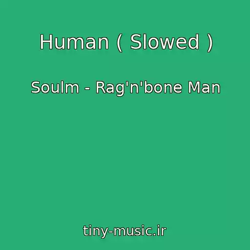 کاور آهنگ Human ( Slowed ) از Soulm - Rag'n'bone Man