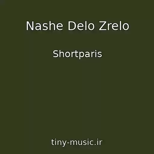 کاور آهنگ Nashe Delo Zrelo از Shortparis