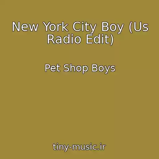 کاور آهنگ New York City Boy (Us Radio Edit) از Pet Shop Boys