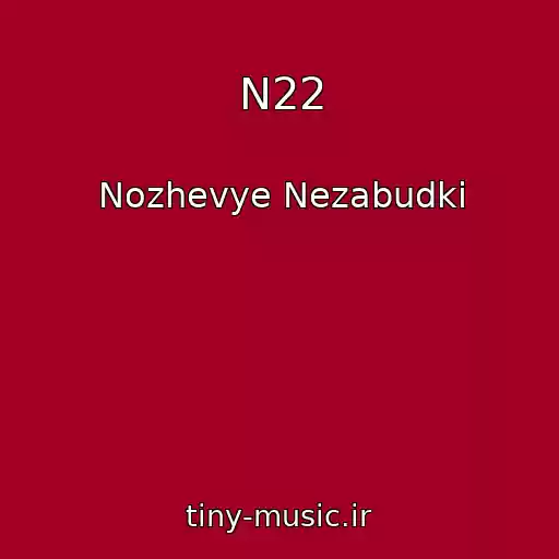 کاور آهنگ N22 از Nozhevye Nezabudki