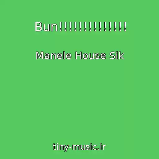 کاور آهنگ Bun!!!!!!!!!!!!!! از Manele House Sik
