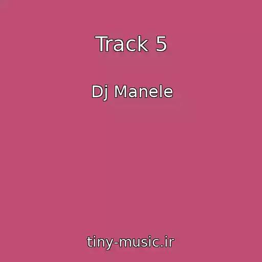 کاور آهنگ Track 5 از Dj Manele