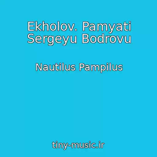 کاور آهنگ Ekholov. Pamyati Sergeyu Bodrovu از Nautilus Pampilus
