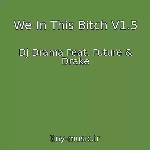 کاور آهنگ We In This Bitch V1.5 از Dj Drama Feat. Future & Drake