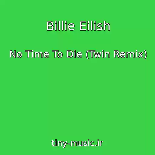 کاور آهنگ Billie Eilish از No Time To Die (Twin Remix)