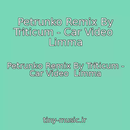 کاور آهنگ Petrunko Remix By Triticum - Car Video  Limma از Petrunko Remix By Triticum - Car Video  Limma