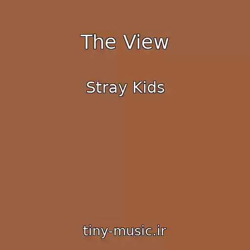 کاور آهنگ The View از Stray Kids