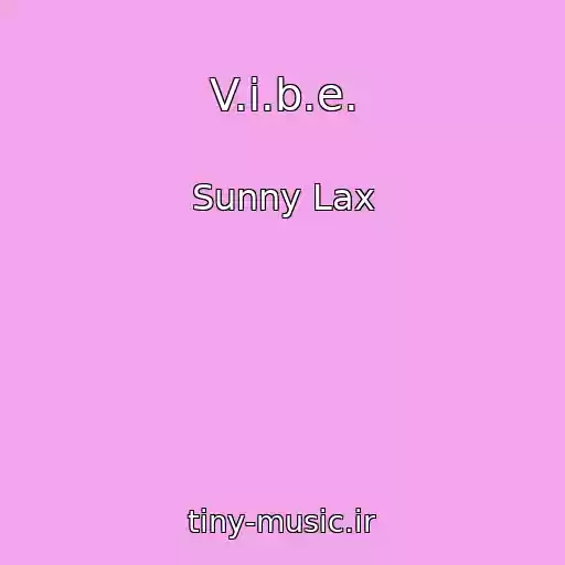 کاور آهنگ V.i.b.e. از Sunny Lax