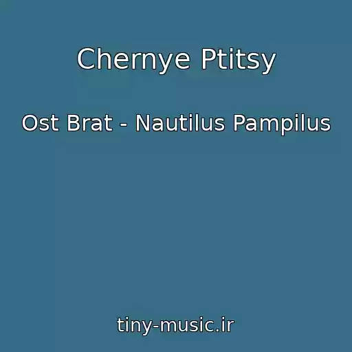 کاور آهنگ Chernye Ptitsy از Ost Brat - Nautilus Pampilus