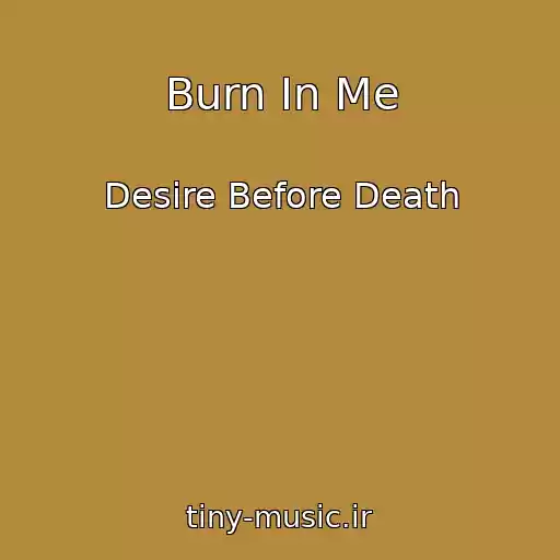 کاور آهنگ Burn In Me از Desire Before Death