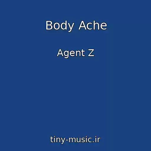 کاور آهنگ Body Ache از Agent Z